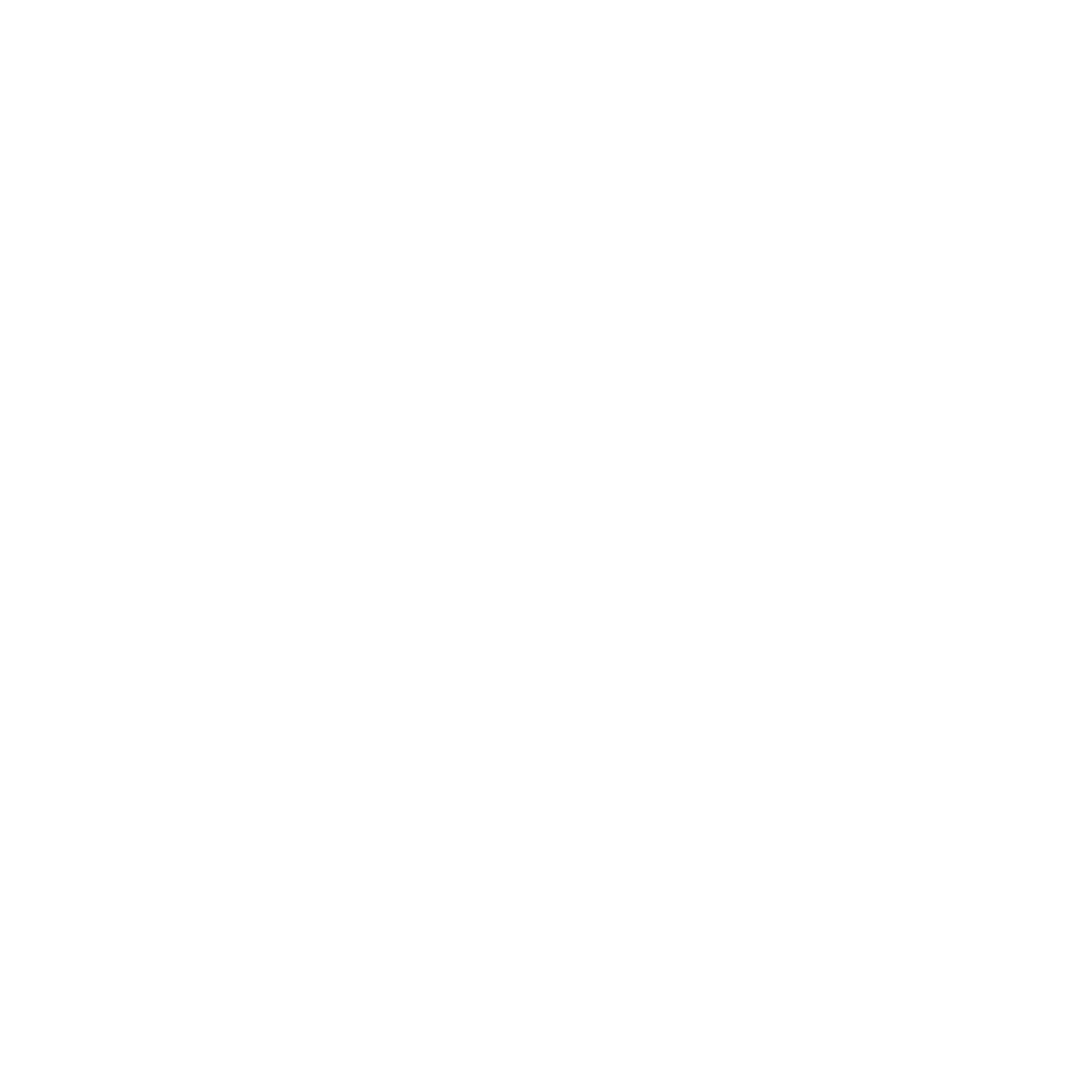 2011-Ignition-Parts-White